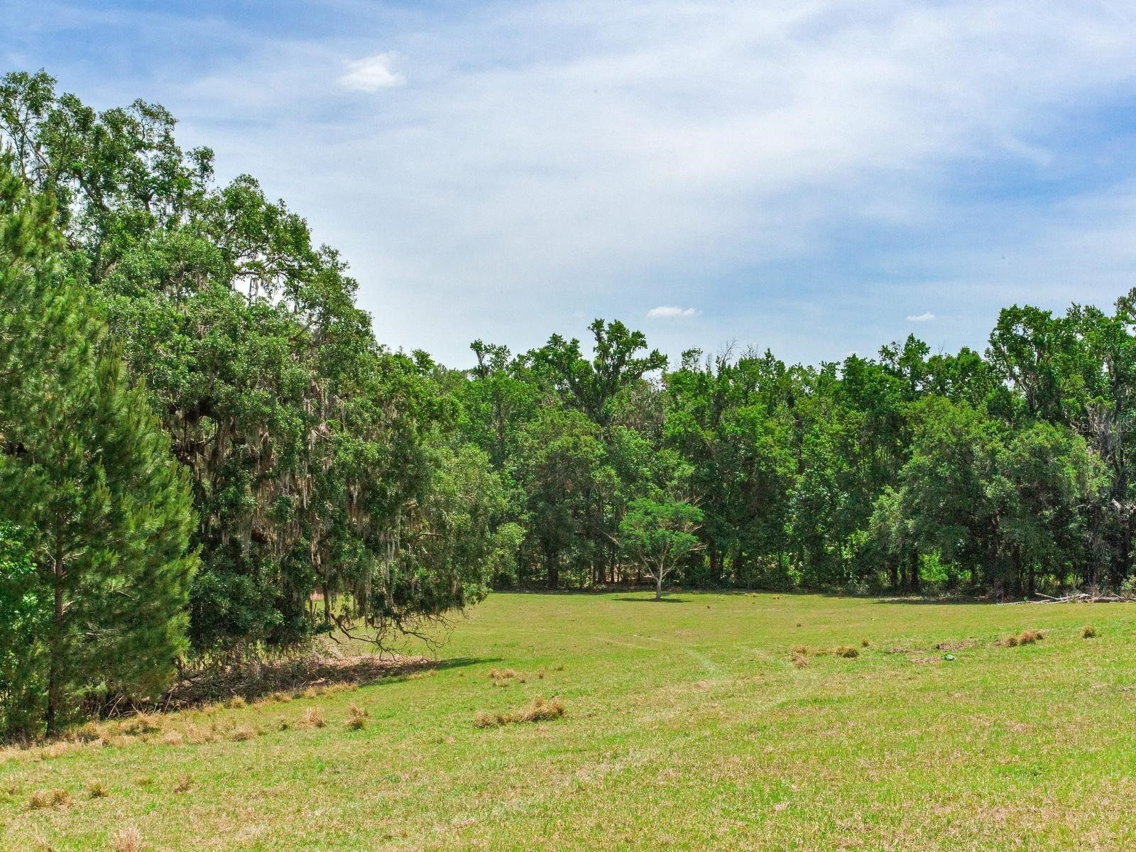 Spring Lake Highway Brooksville FL 34602 TB8511120 image10