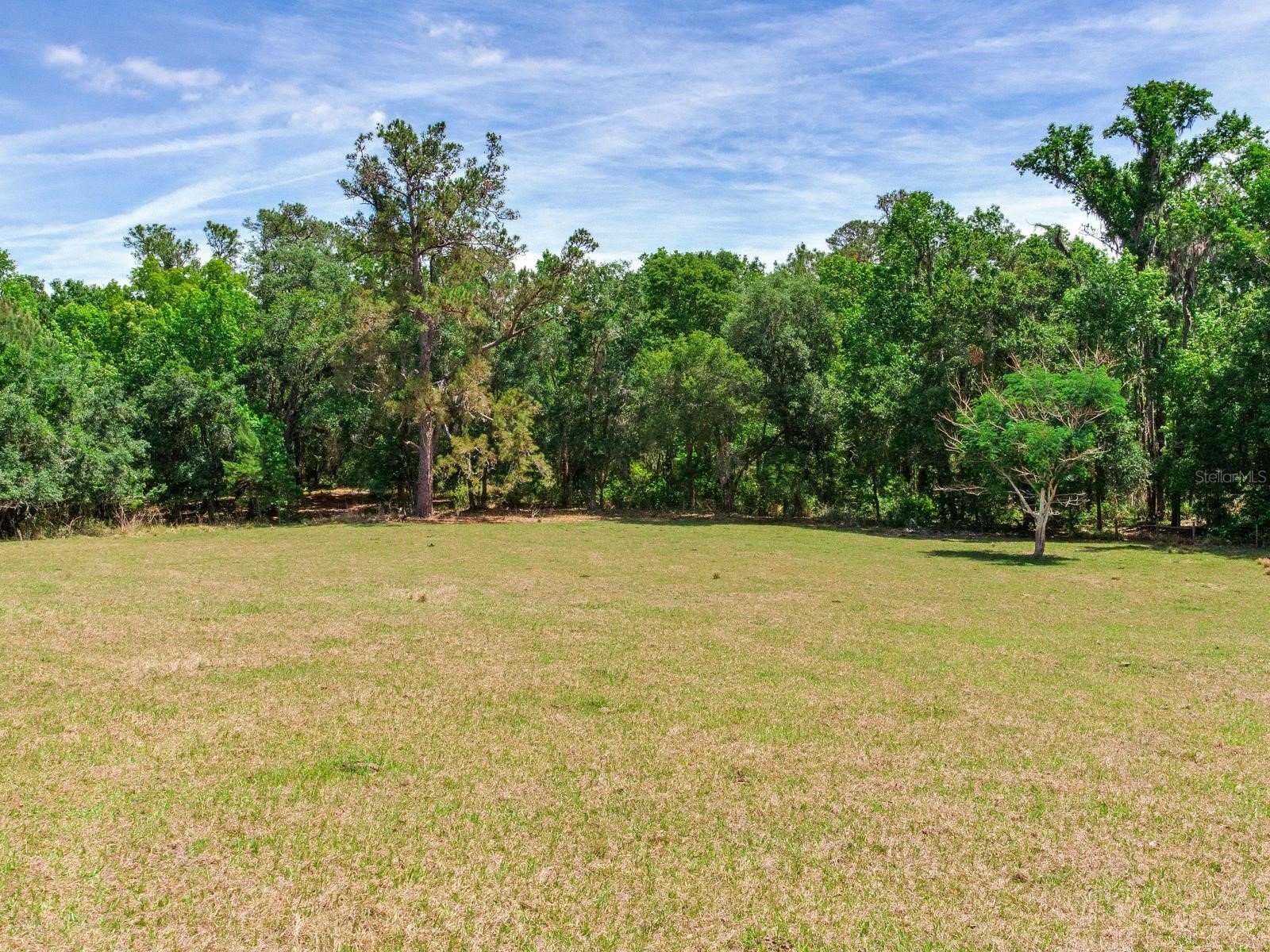 Spring Lake Highway Brooksville FL 34602 TB8511120 image15