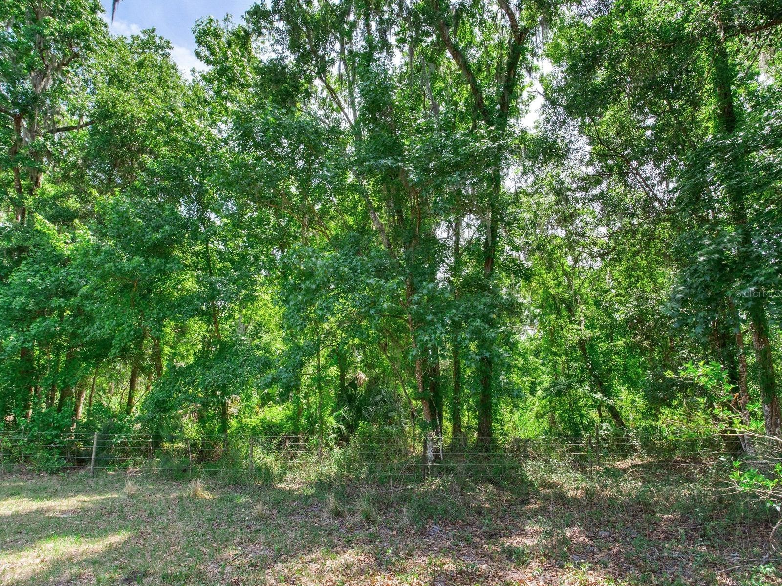 Spring Lake Highway Brooksville FL 34602 TB8511120 image16