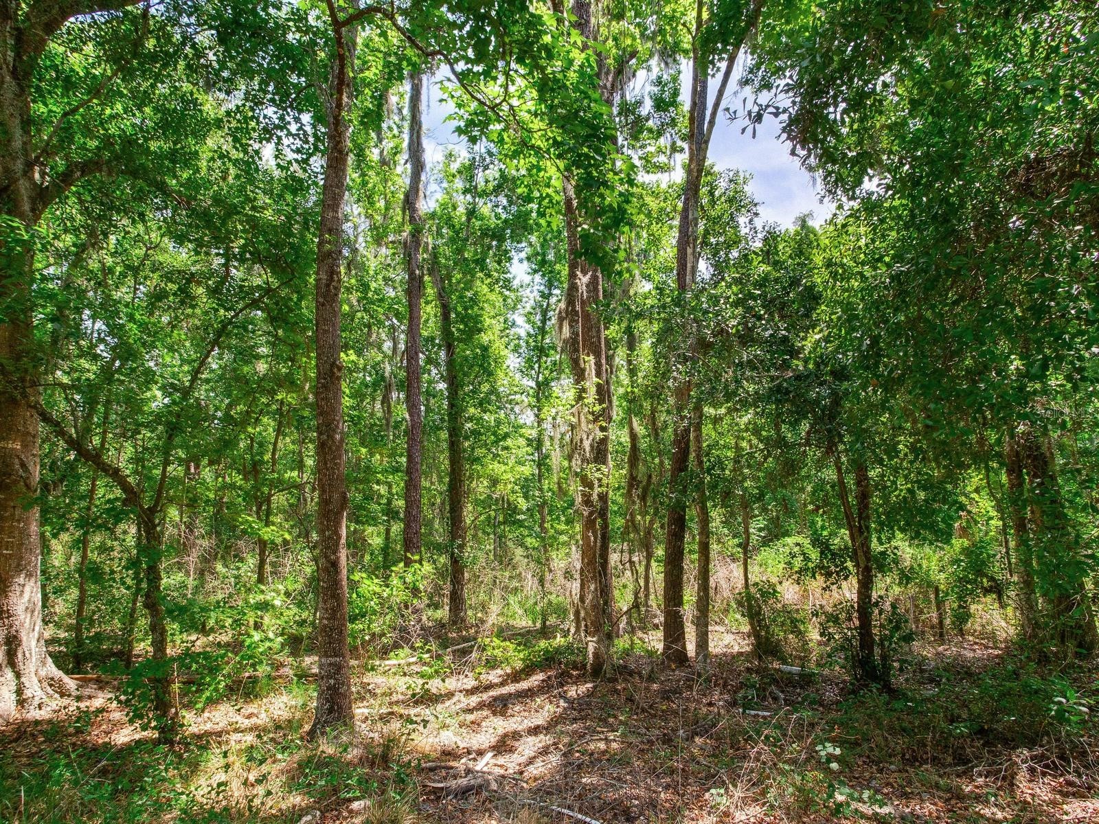 Spring Lake Highway Brooksville FL 34602 TB8511120 image18