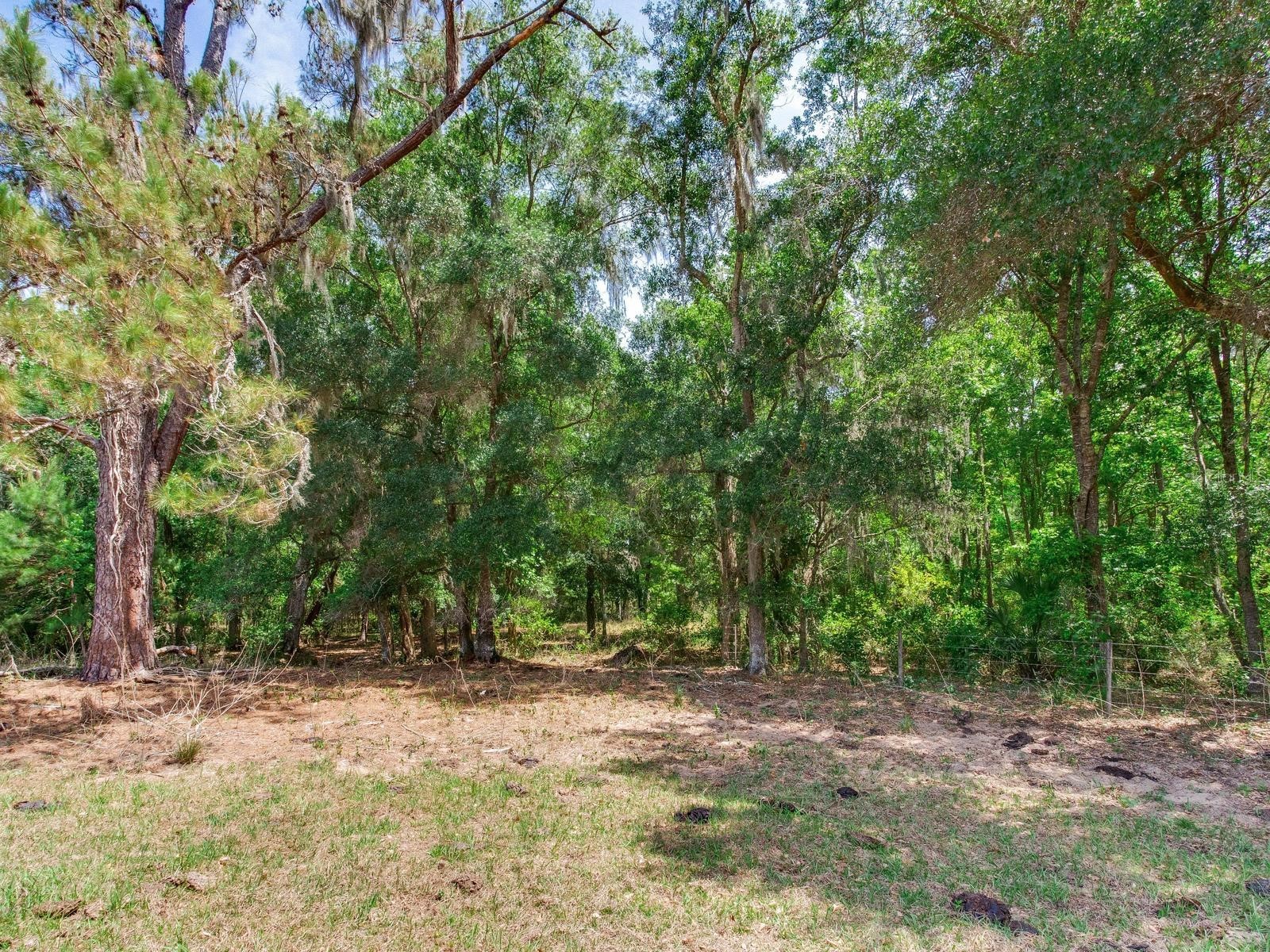 Spring Lake Highway Brooksville FL 34602 TB8511120 image19