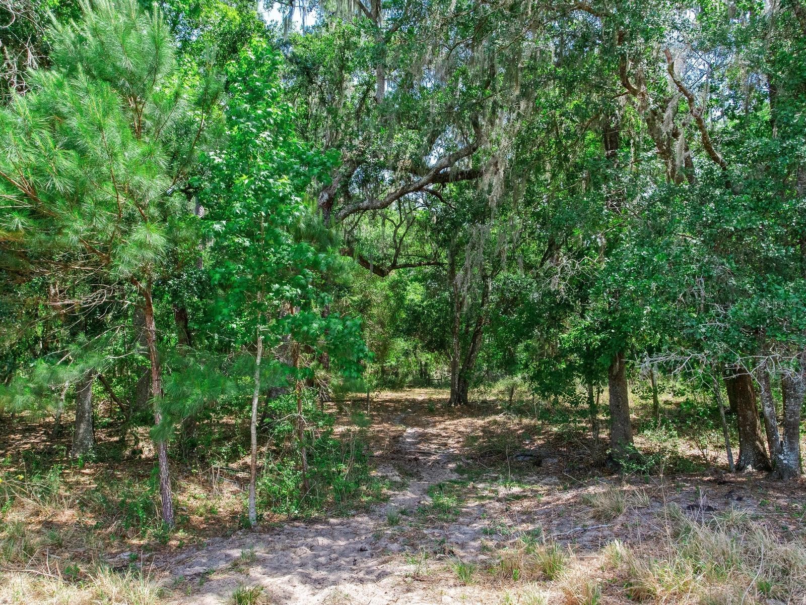 Spring Lake Highway Brooksville FL 34602 TB8511120 image20