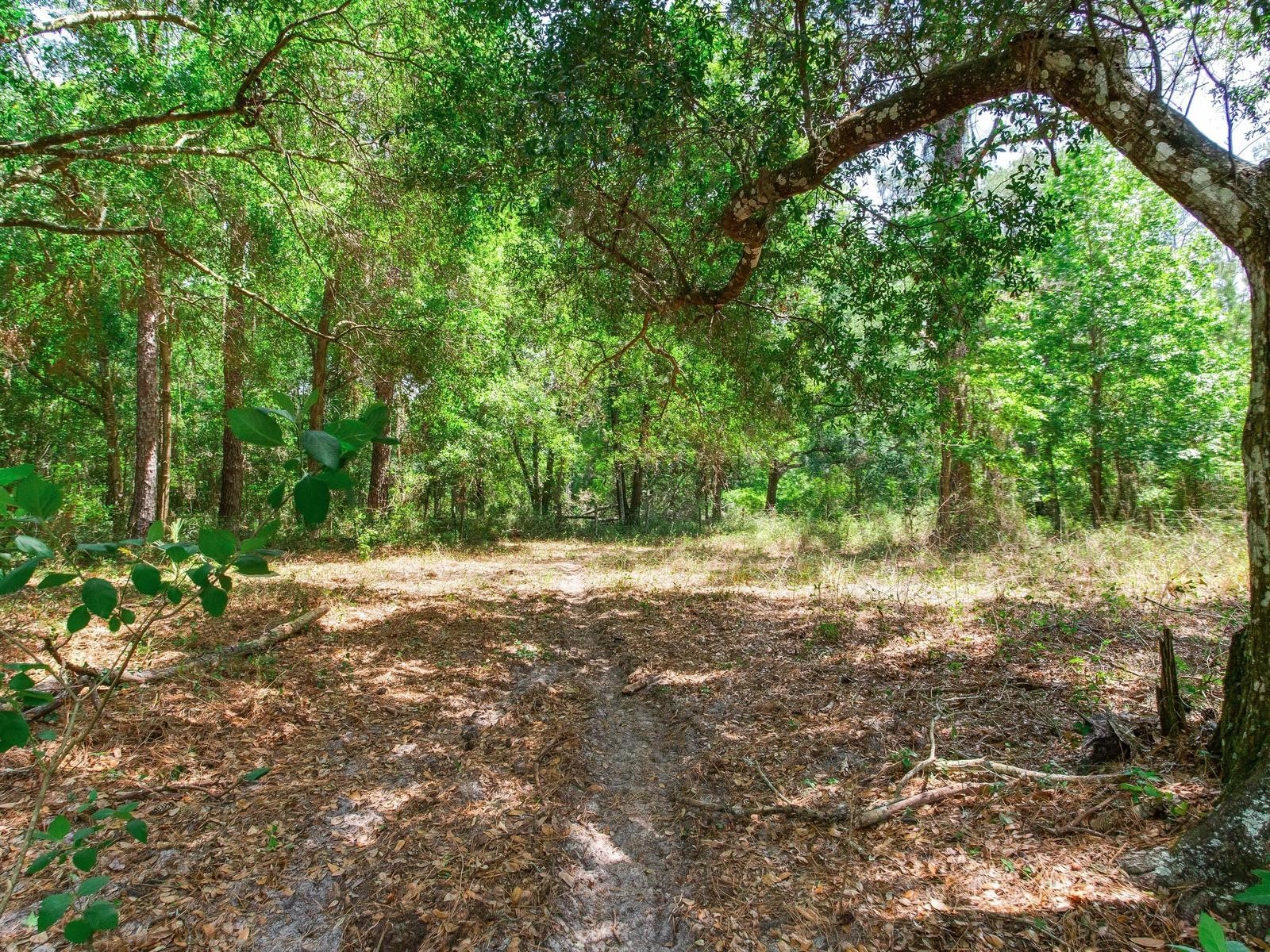Spring Lake Highway Brooksville FL 34602 TB8511120 image21