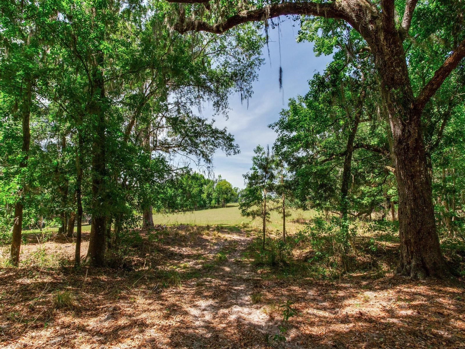 Spring Lake Highway Brooksville FL 34602 TB8511120 image22