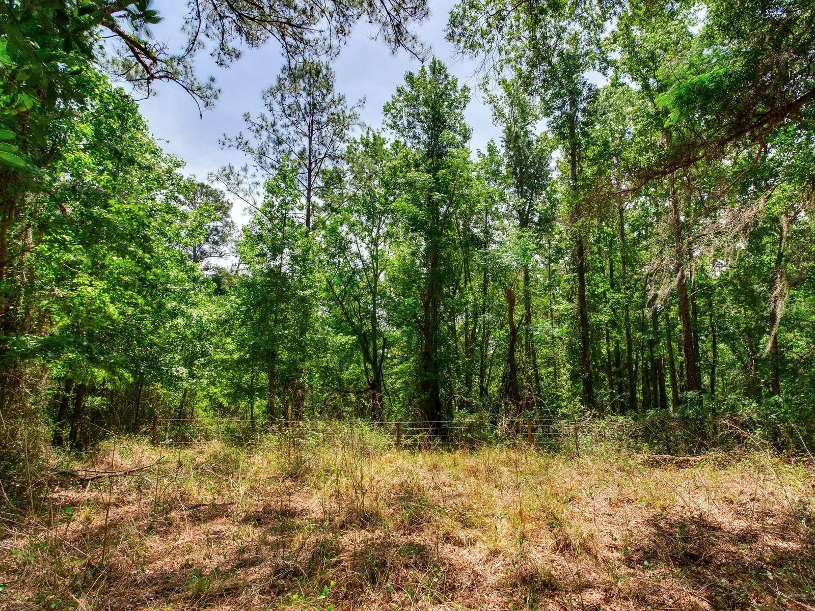 Spring Lake Highway Brooksville FL 34602 TB8511120 image23