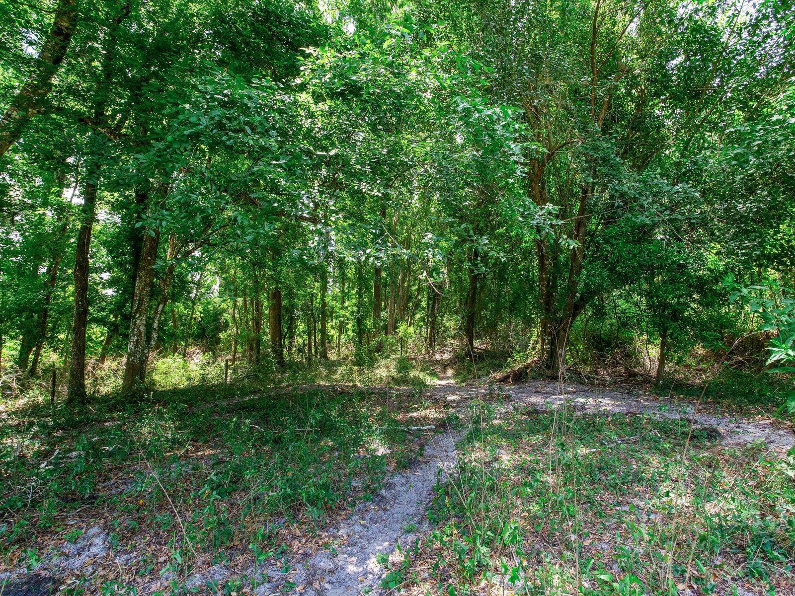 Spring Lake Highway Brooksville FL 34602 TB8511120 image26