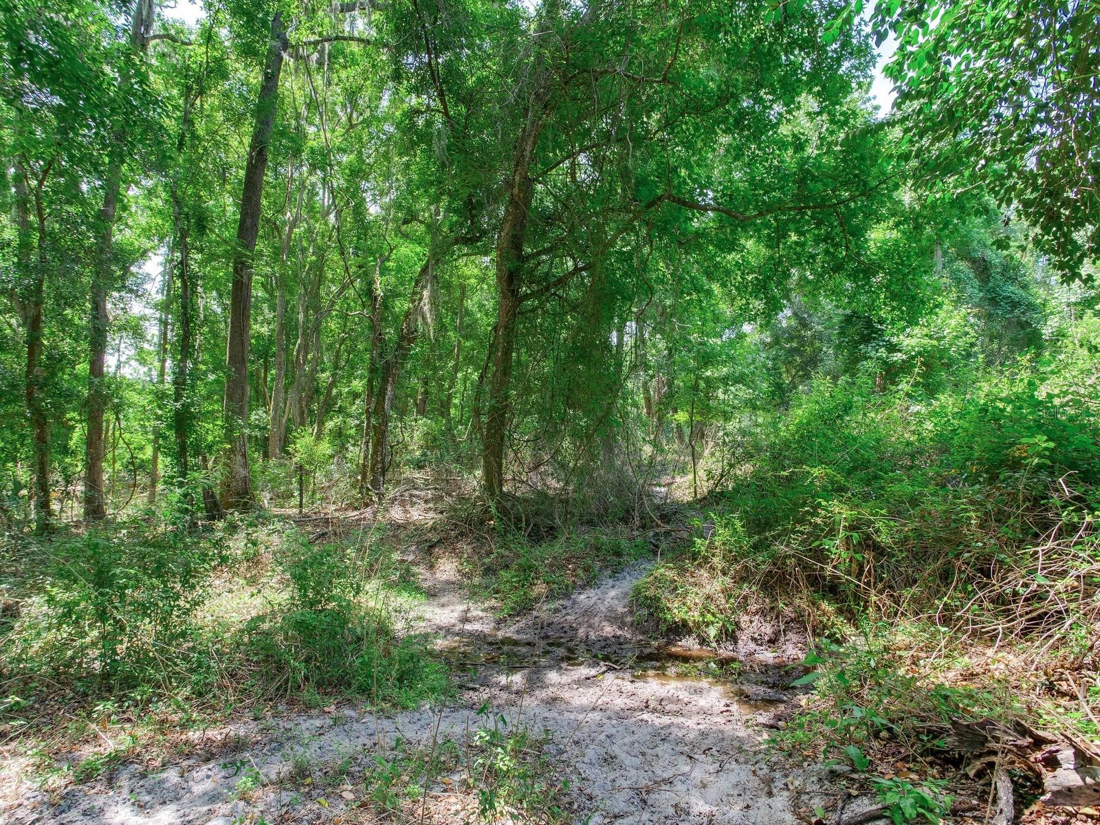 Spring Lake Highway Brooksville FL 34602 TB8511120 image27