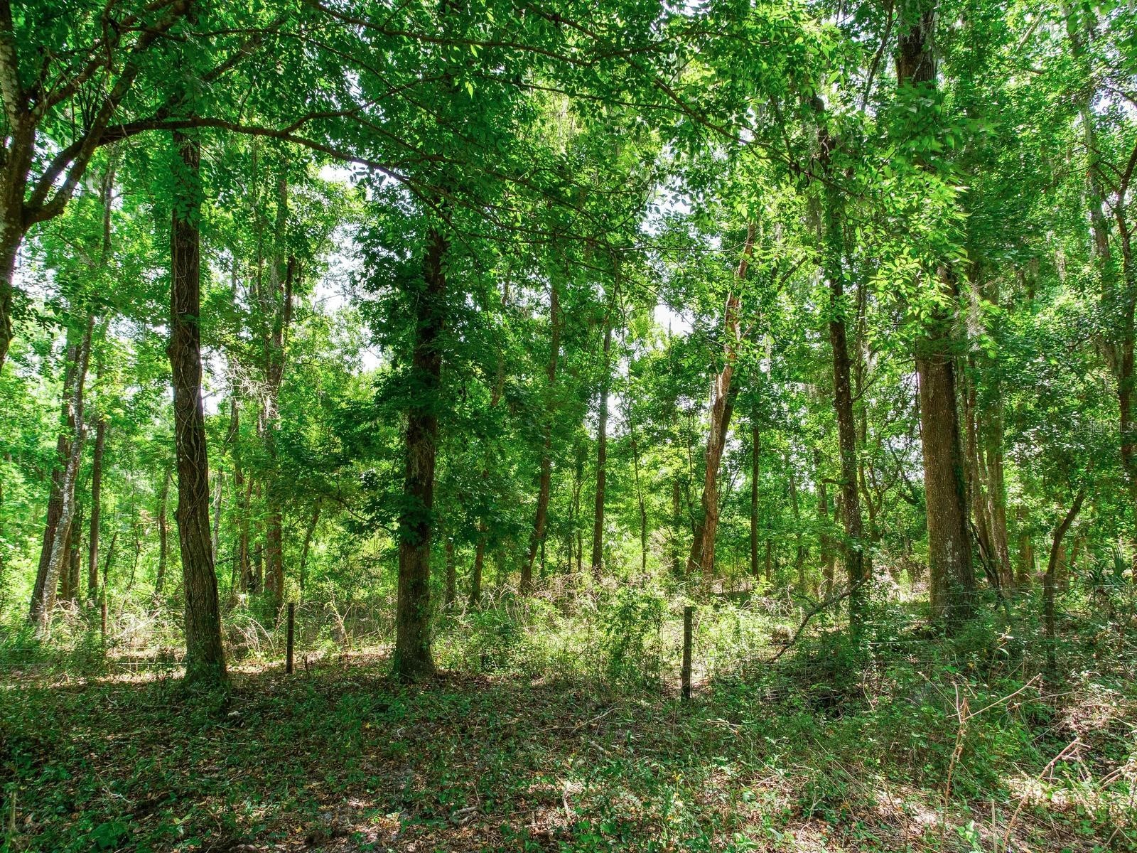 Spring Lake Highway Brooksville FL 34602 TB8511120 image28