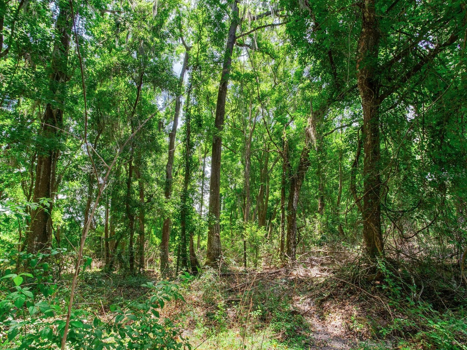 Spring Lake Highway Brooksville FL 34602 TB8511120 image29