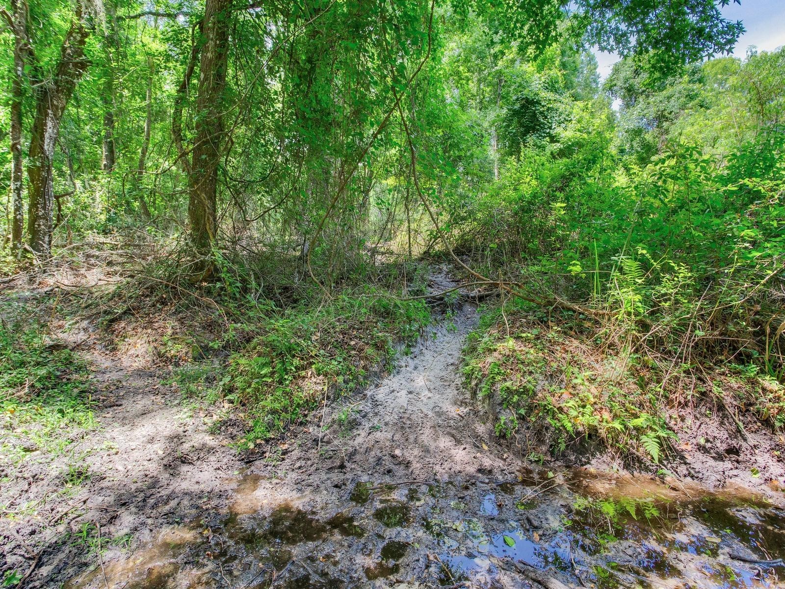 Spring Lake Highway Brooksville FL 34602 TB8511120 image30
