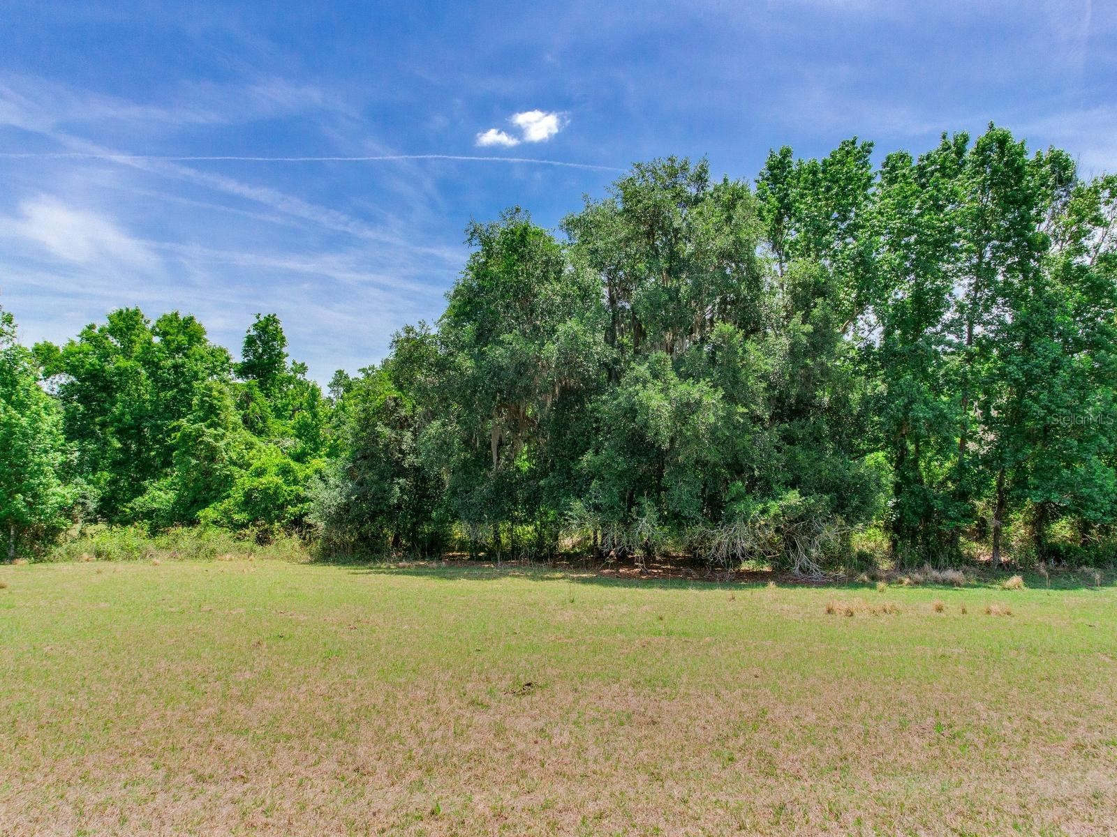 Spring Lake Highway Brooksville FL 34602 TB8511120 image31