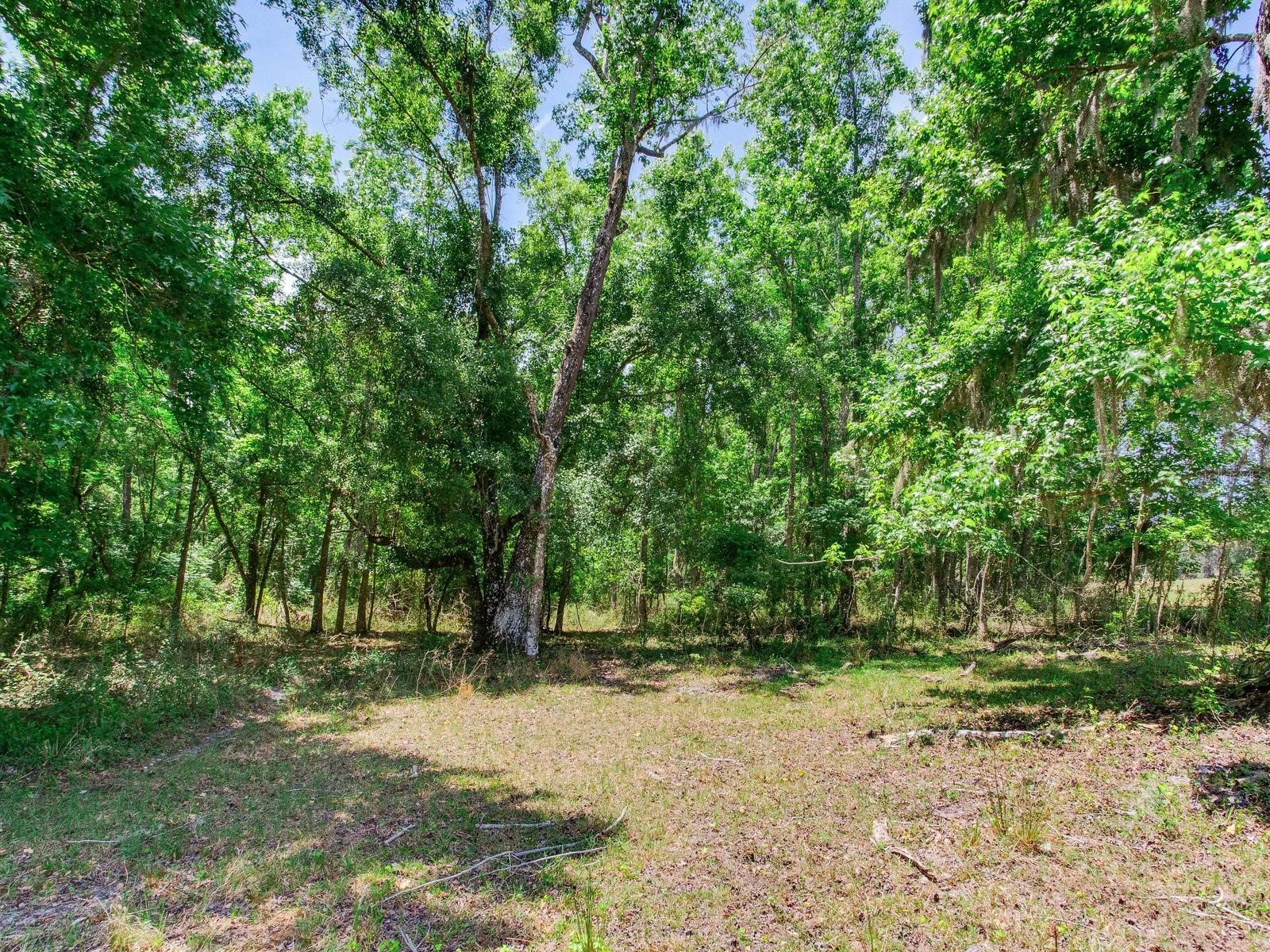 Spring Lake Highway Brooksville FL 34602 TB8511120 image33
