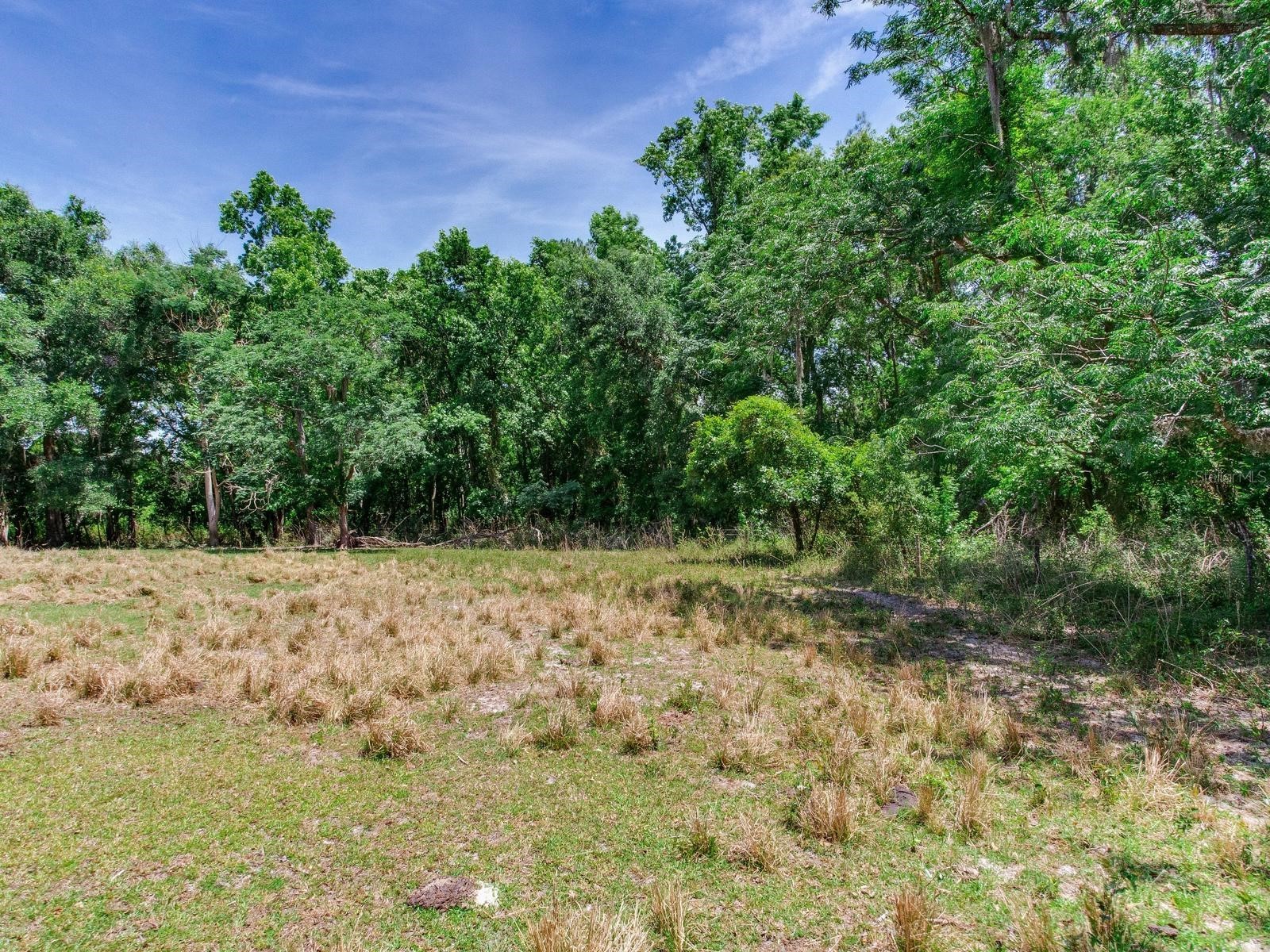 Spring Lake Highway Brooksville FL 34602 TB8511120 image34