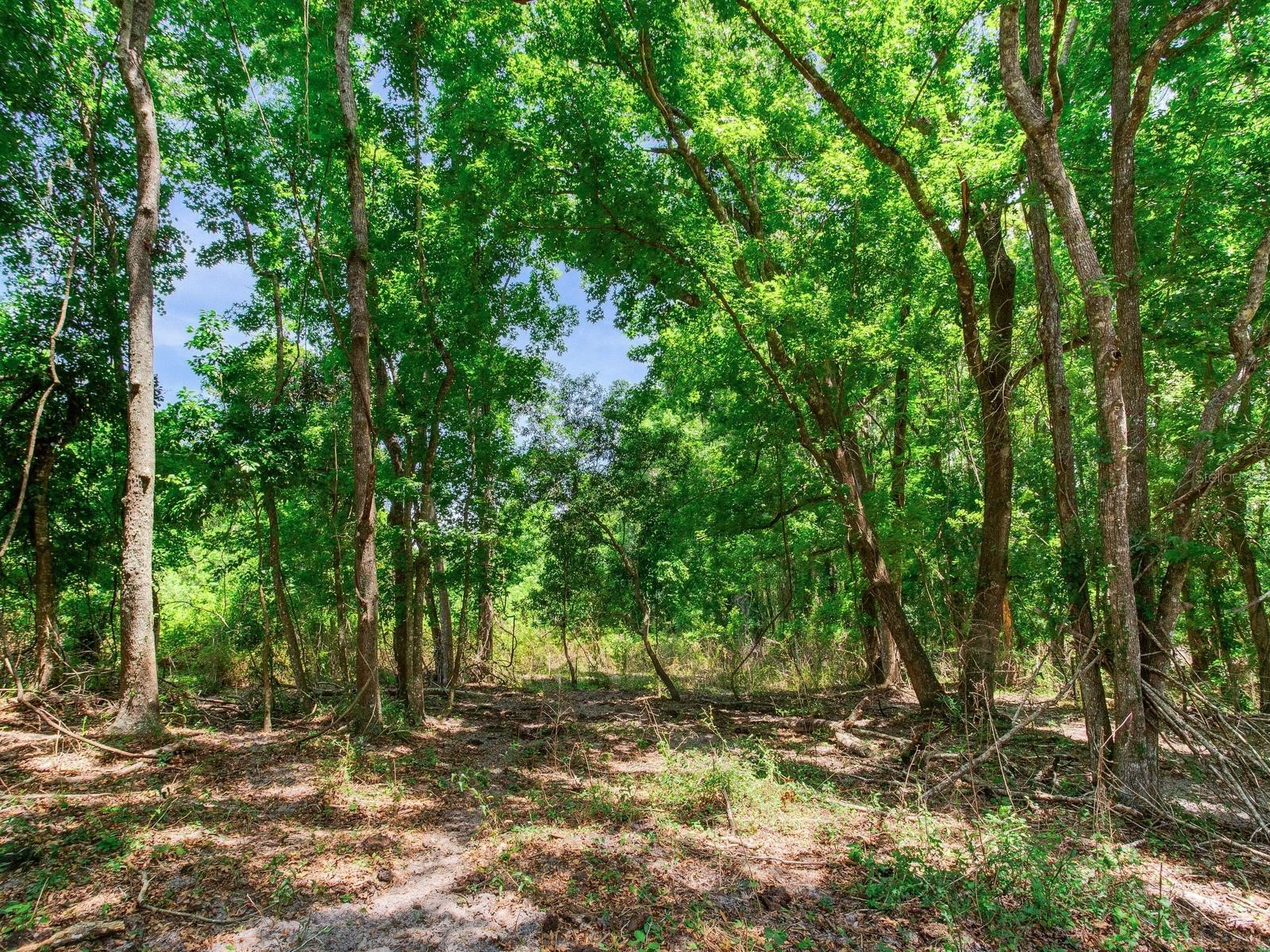 Spring Lake Highway Brooksville FL 34602 TB8511120 image35