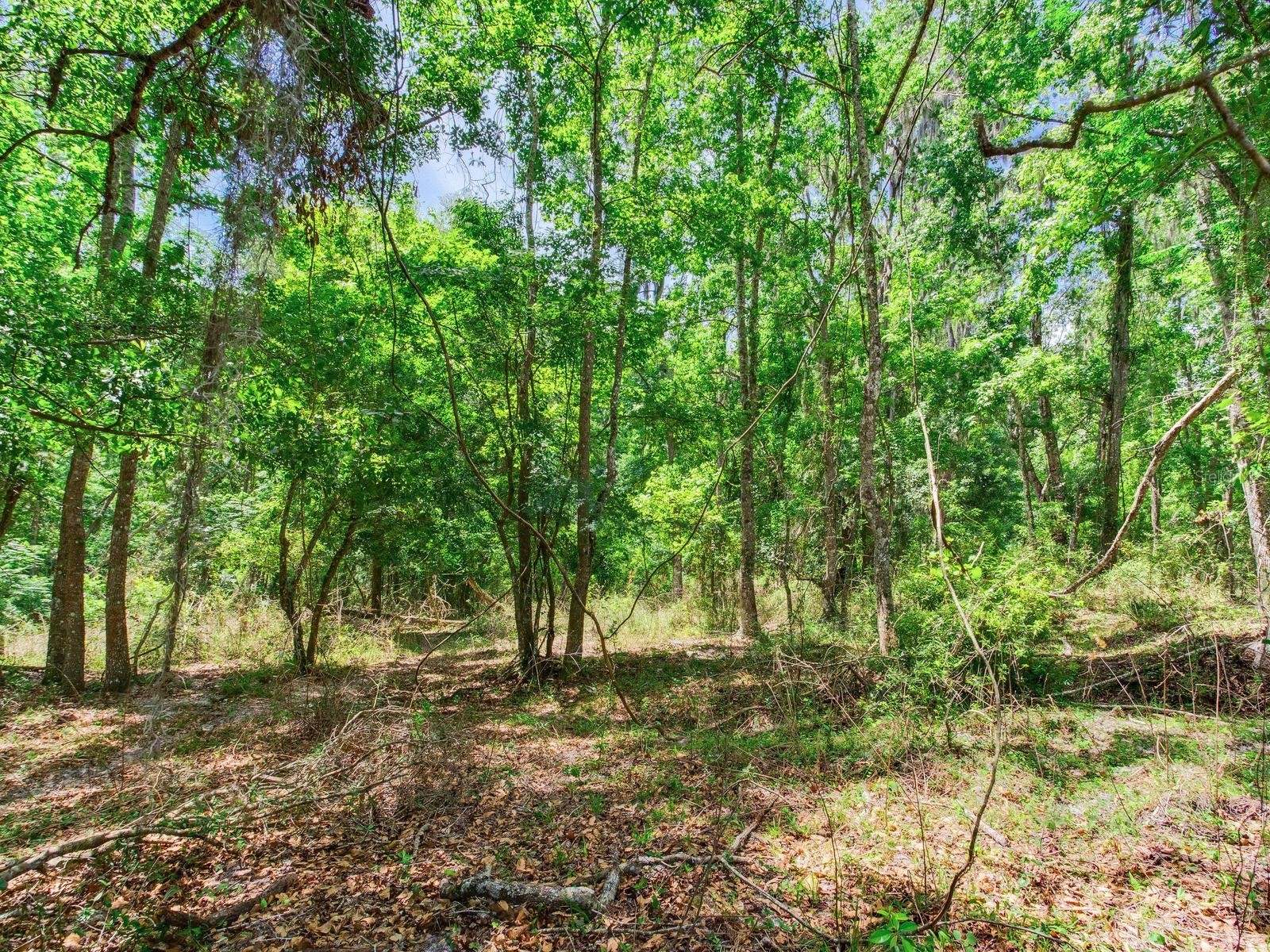 Spring Lake Highway Brooksville FL 34602 TB8511120 image39