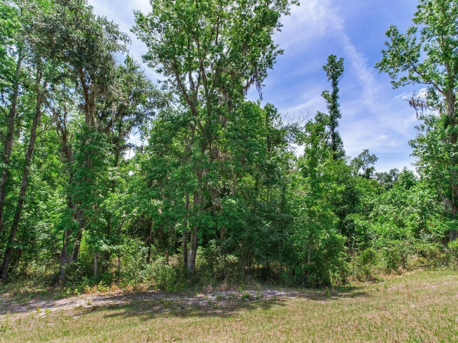 Spring Lake Highway Brooksville FL 34602 TB8511120 image43