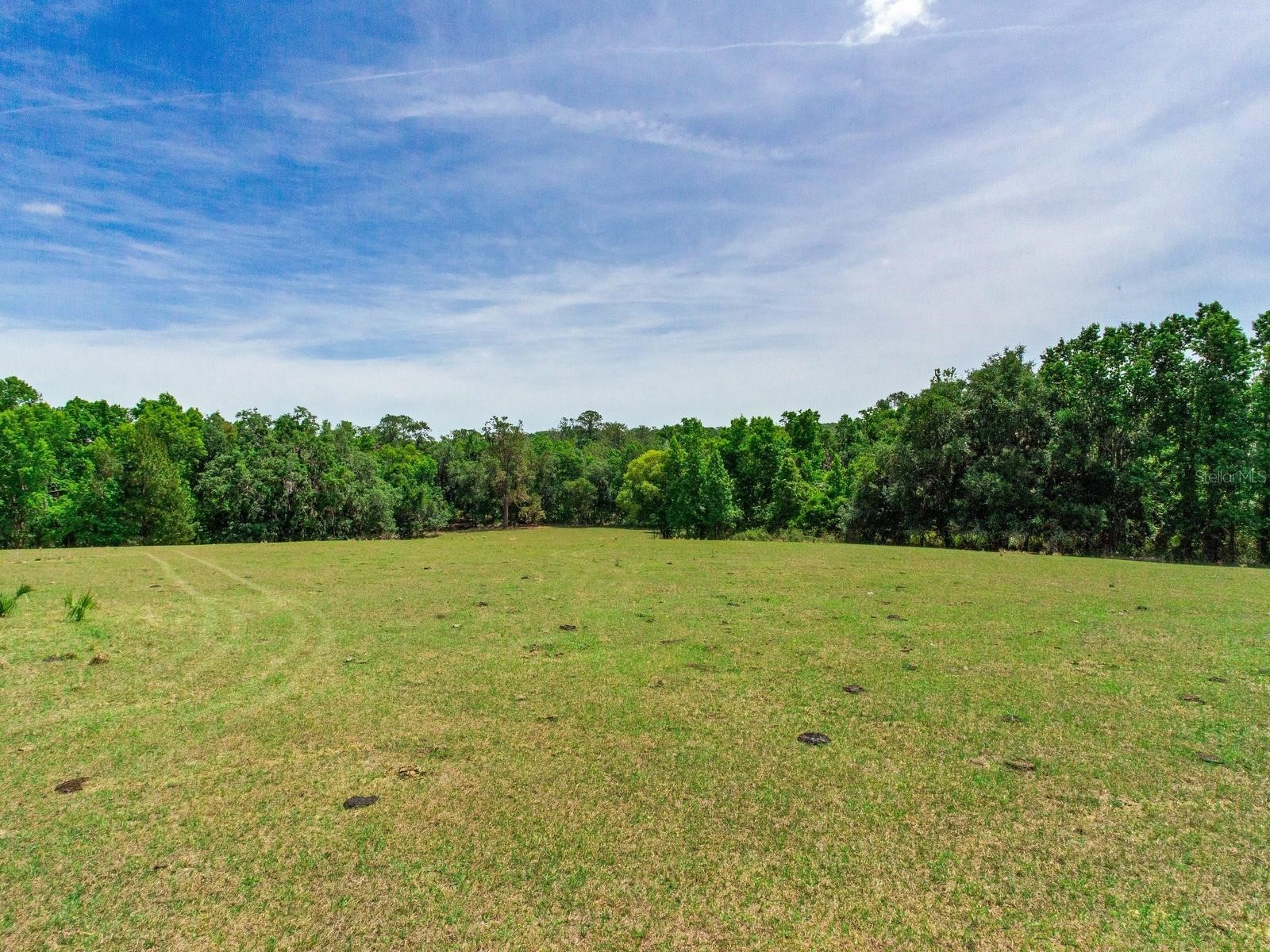 Spring Lake Highway Brooksville FL 34602 TB8511120 image6