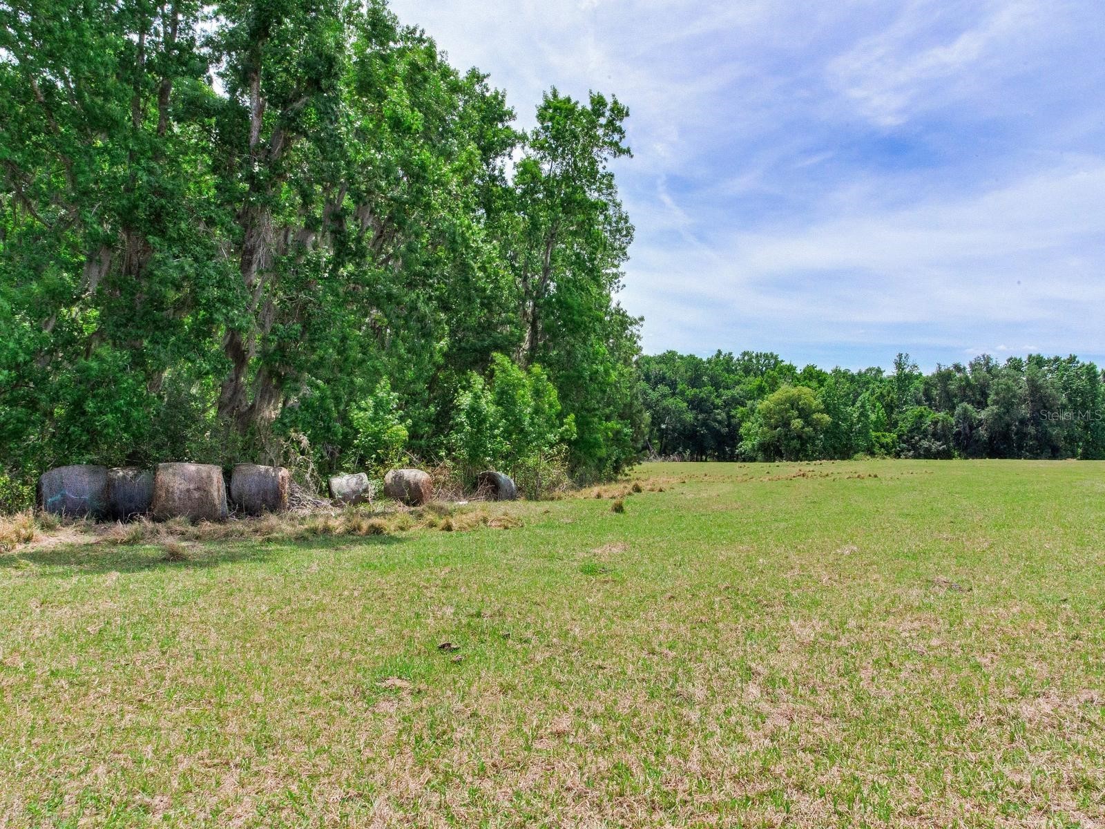 Spring Lake Highway Brooksville FL 34602 TB8511120 image8
