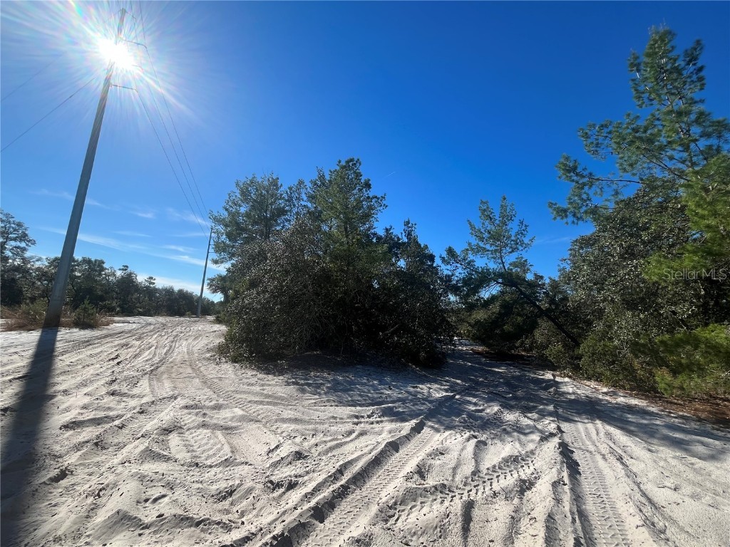 Spruce Circle Deland FL 32724 OK223535 image1