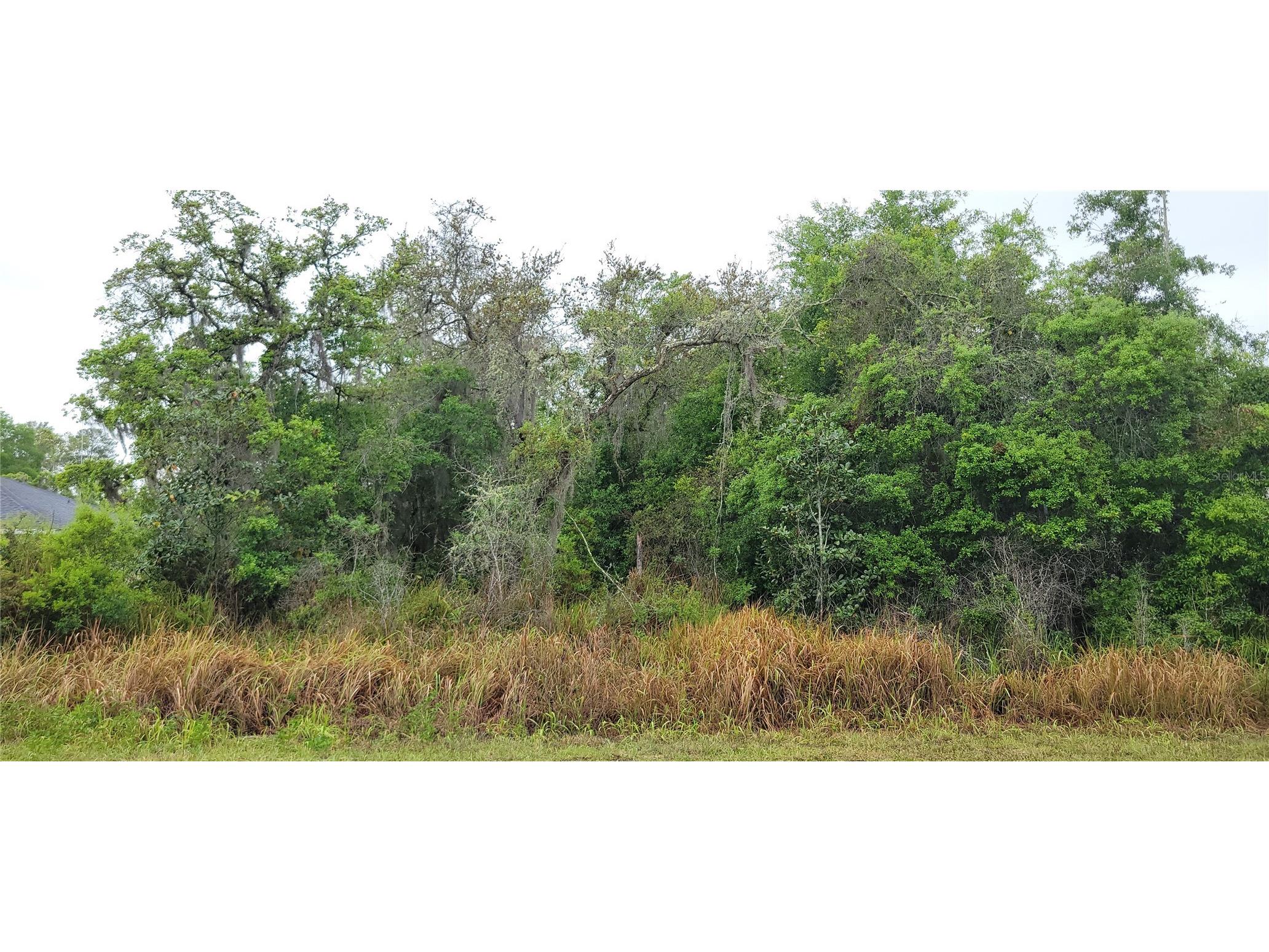 Spruce Road Ocala FL 34472 OM724774 image1