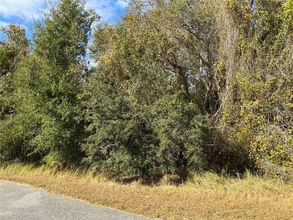 Spruce Terrace Ocala FL 34472 OM704993 image1