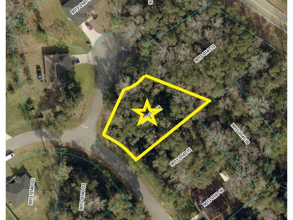 Spruce Terrace Run Ocala FL 34472 S5142488 image1