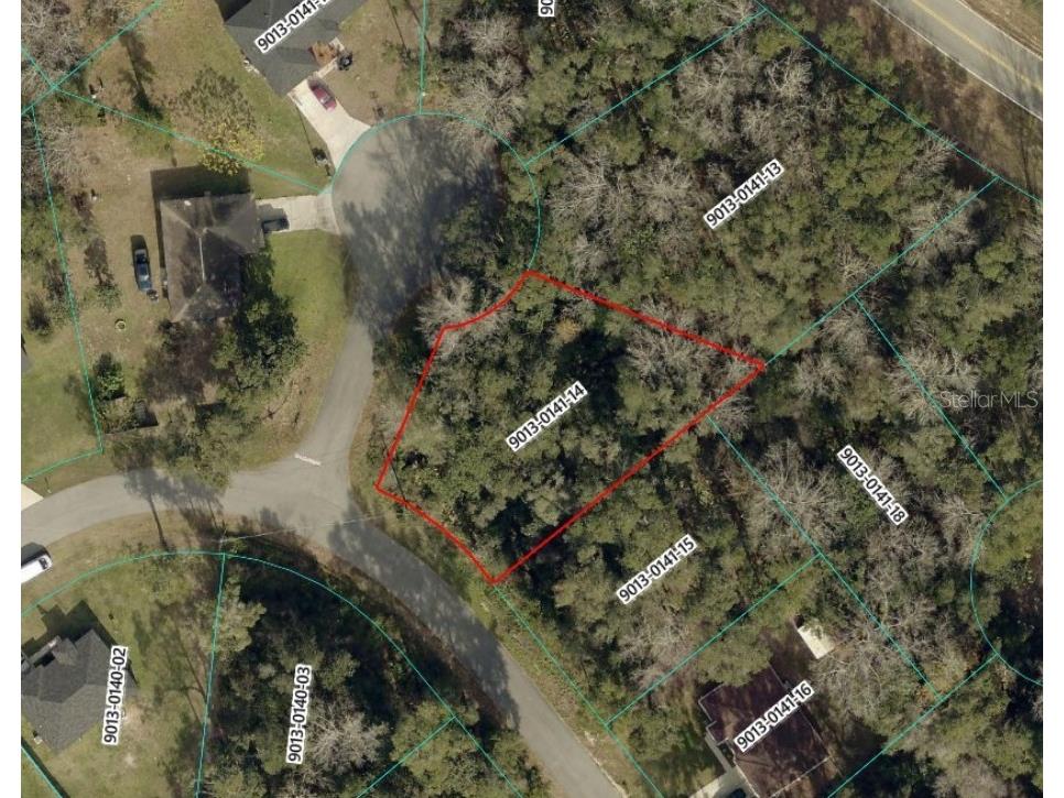 Spruce Terrace Run Ocala FL 34472 S5142488 image2