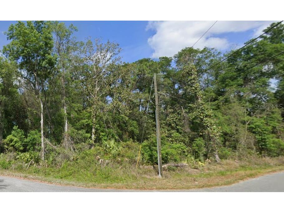 Spruce Terrace Run Ocala FL 34472 S5142488 image3
