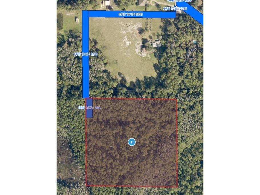 Spurlocks Trail Groveland FL 34736 O6093871 image1