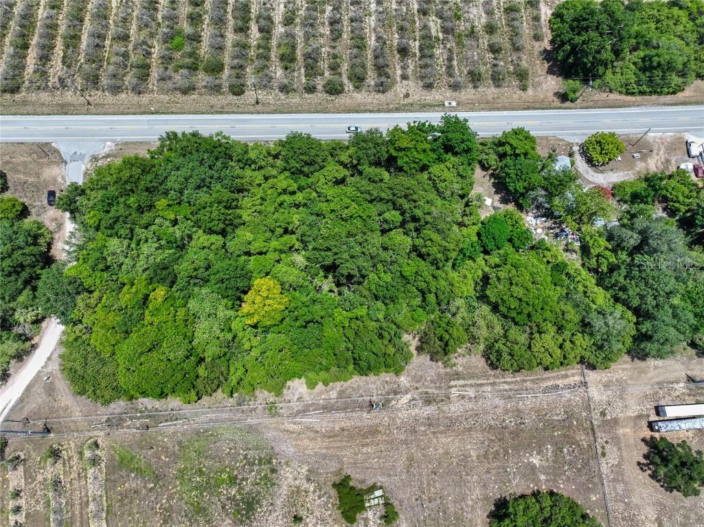 Sr-17 Haines City FL 33844 P4930676 image4