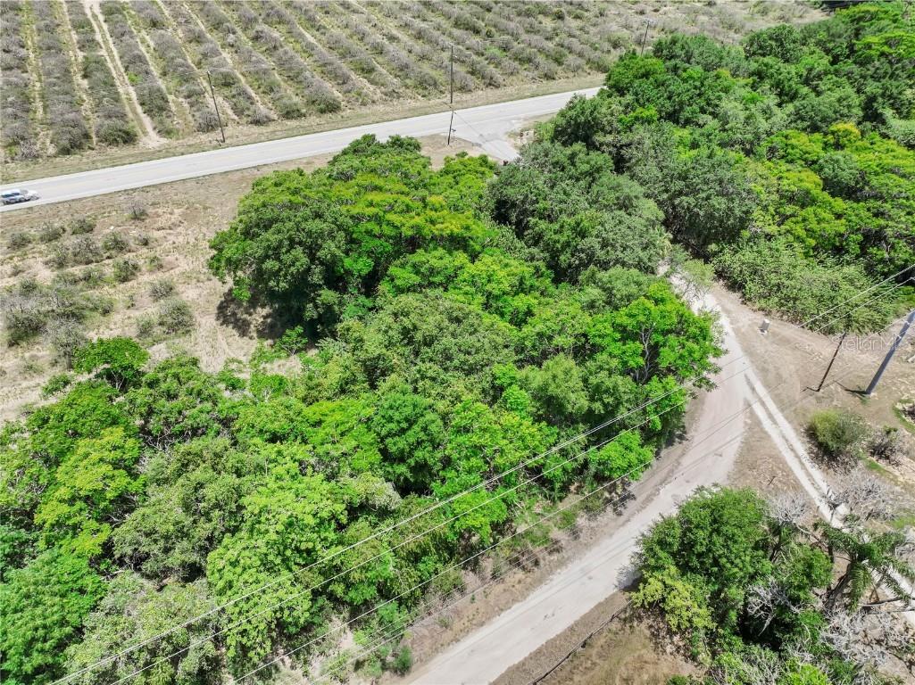 Sr-17 Haines City FL 33844 P4930687 image7