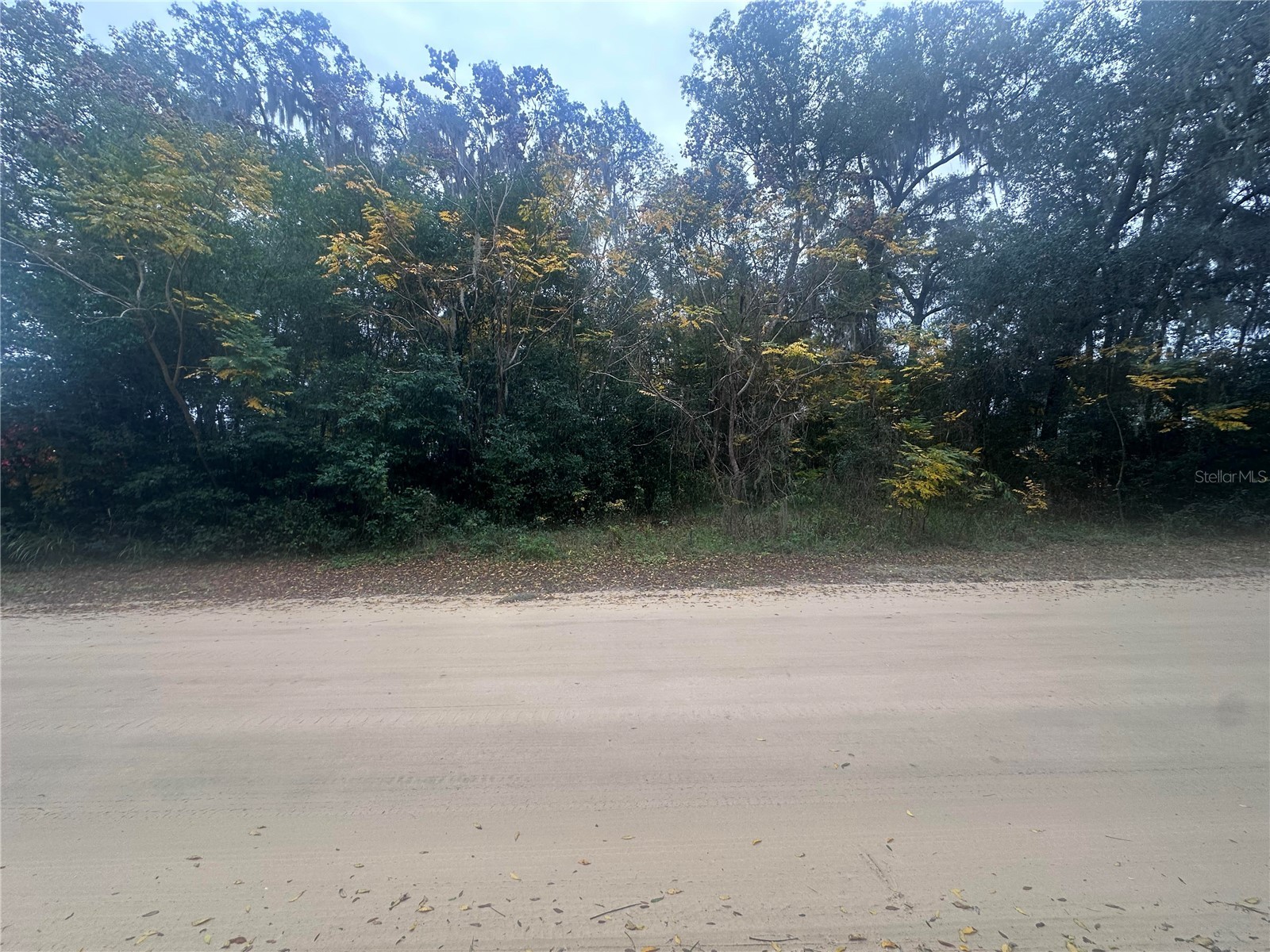 Sr-19 Altoona FL 32702 O6373682 image3