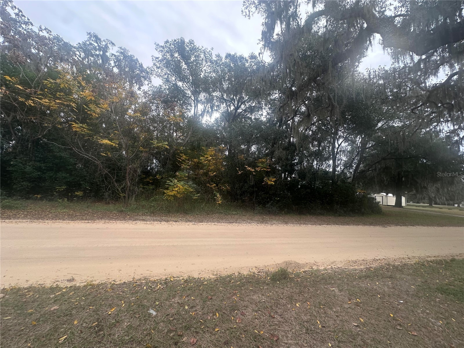 Sr-19 Altoona FL 32702 O6373682 image4