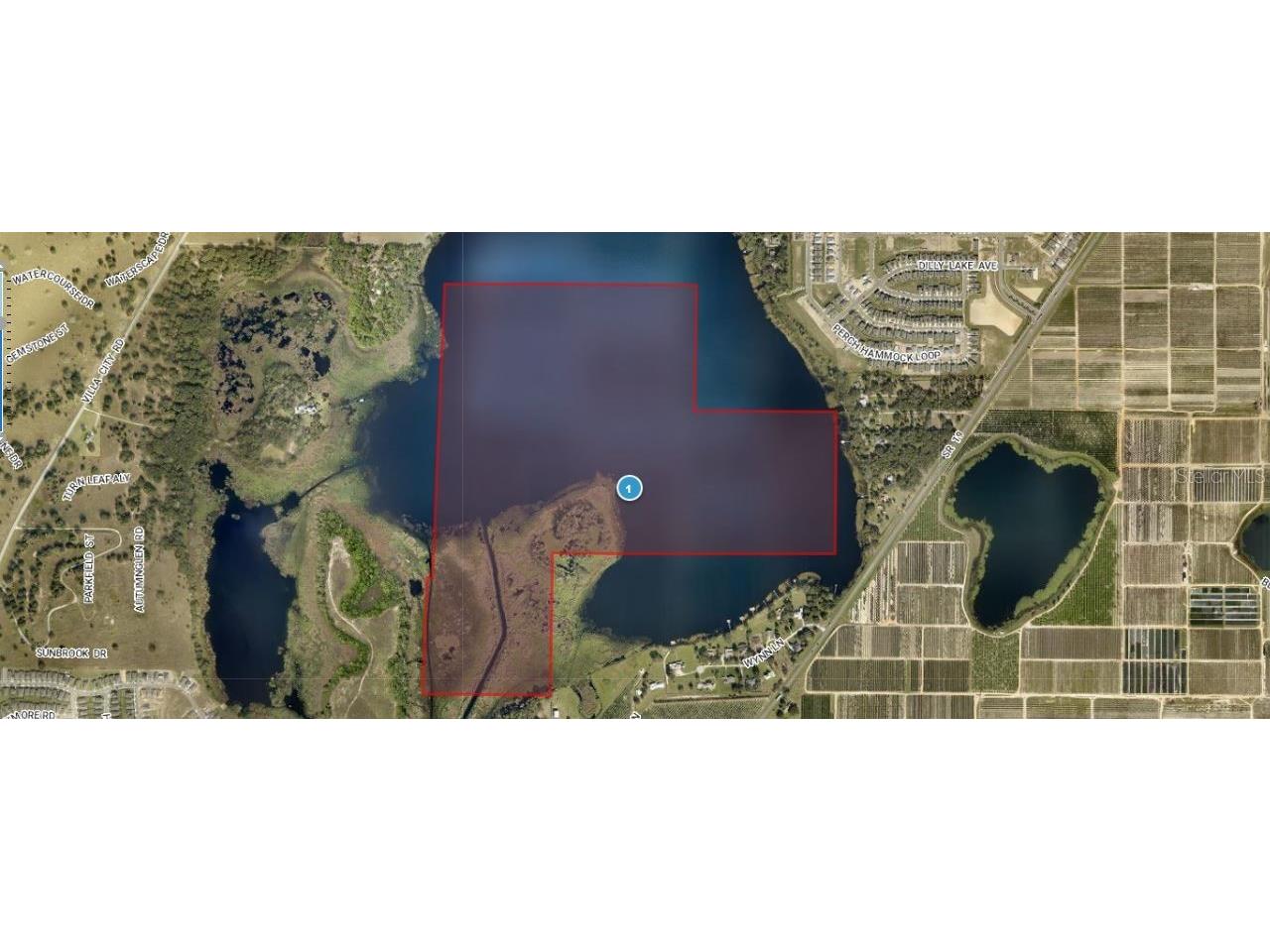 Sr-19 Groveland FL 34736 O6302728 image1