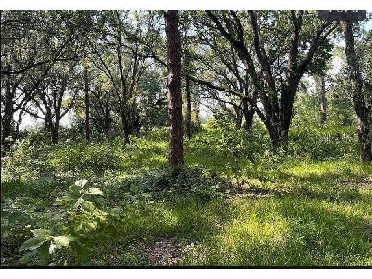 Sr-19 Groveland FL 34736 O6302728 image10