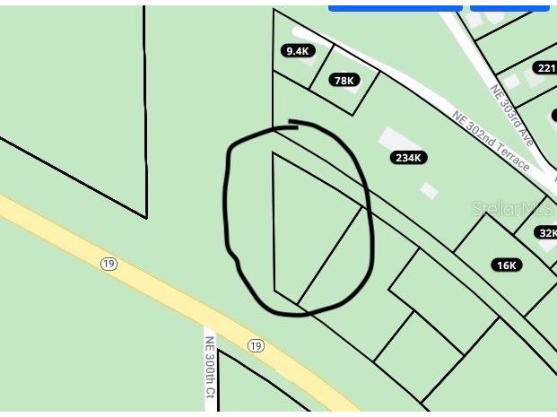 Sr 19 Salt Springs FL 32134 O5906326 image1