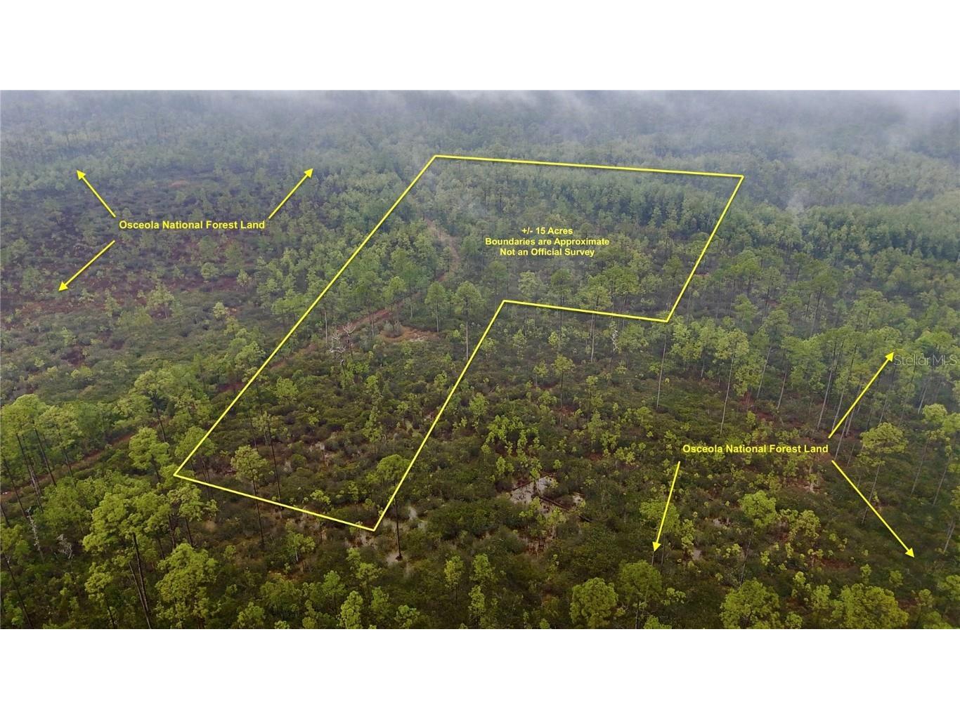 Sr-2 Sanderson FL 32087 OM696083 image1