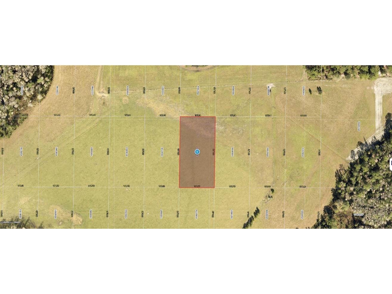 Sr-33 Clermont FL 34714 O6274816 image1