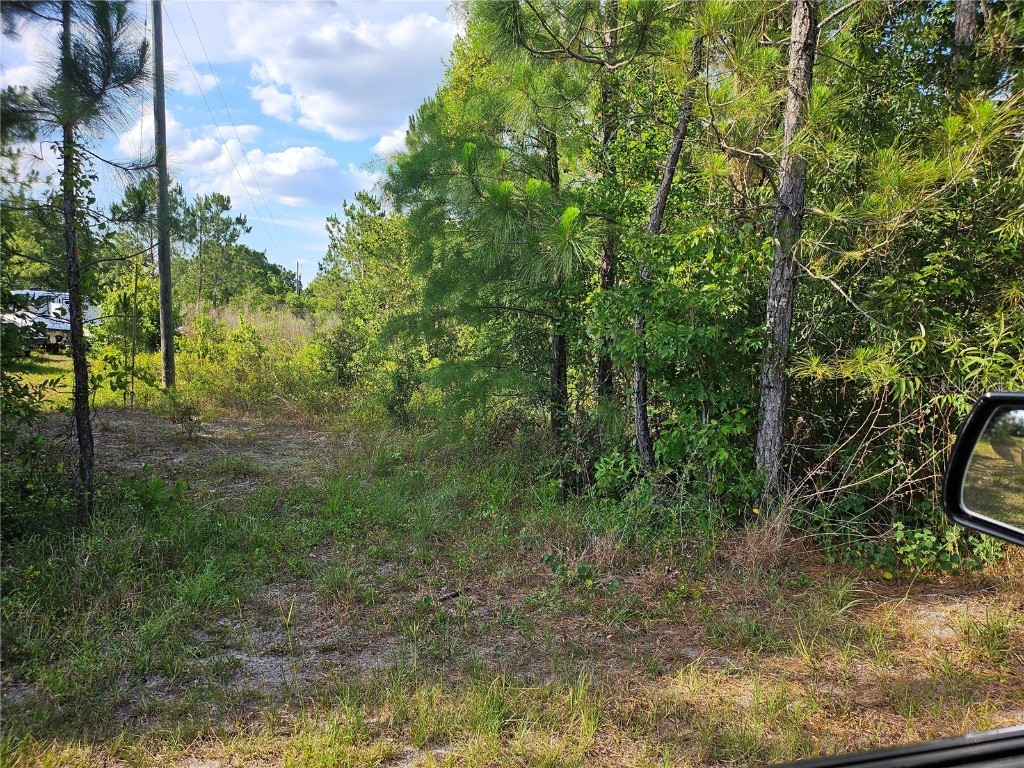 Sr-33 Clermont FL 34714 S5105639 image2