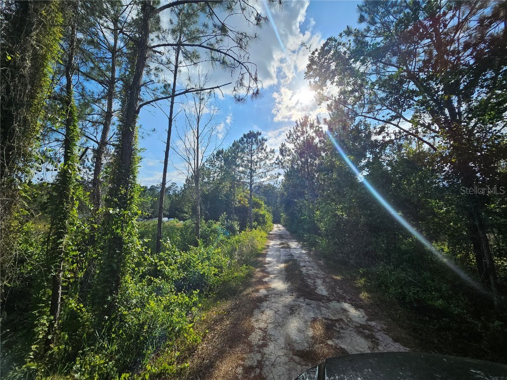 Sr-33 Clermont FL 34714 S5105639 image5