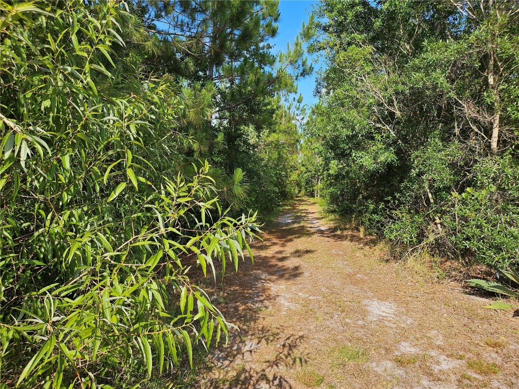 Sr-33 Clermont FL 34714 S5105639 image6