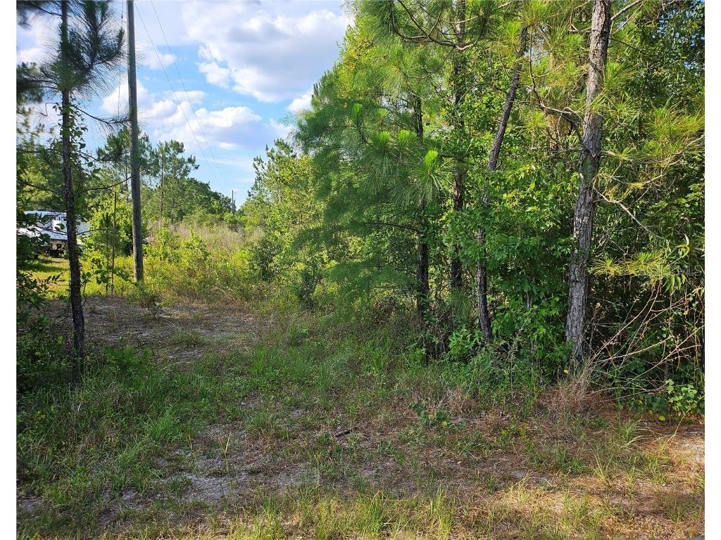 Sr-33 Clermont FL 34714 S5105639 image7