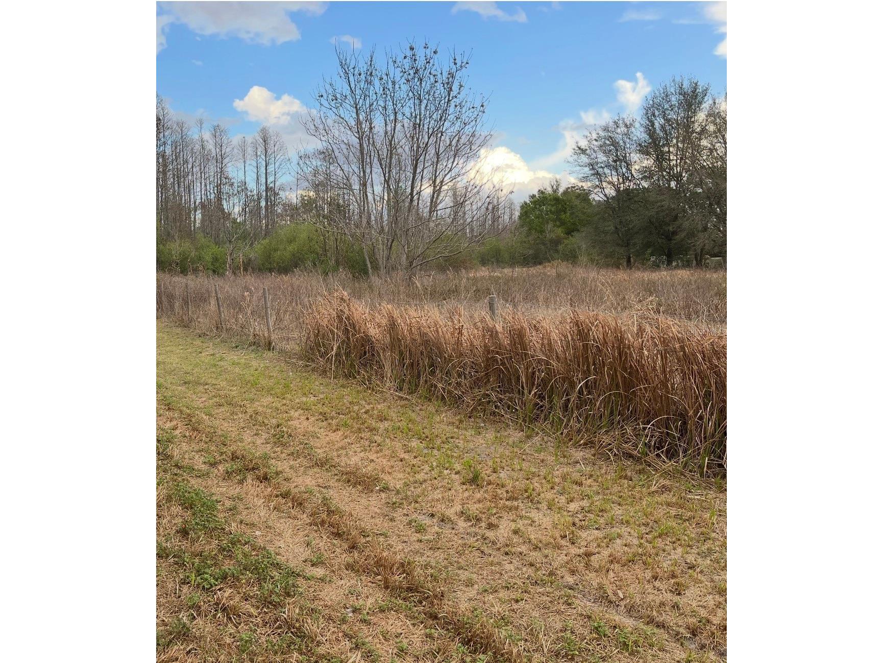 Sr-33 Clermont FL 34714 S5145262 image5