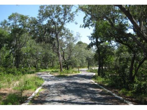 Sr 370 Alligator Point FL 32346 O6400744 image1