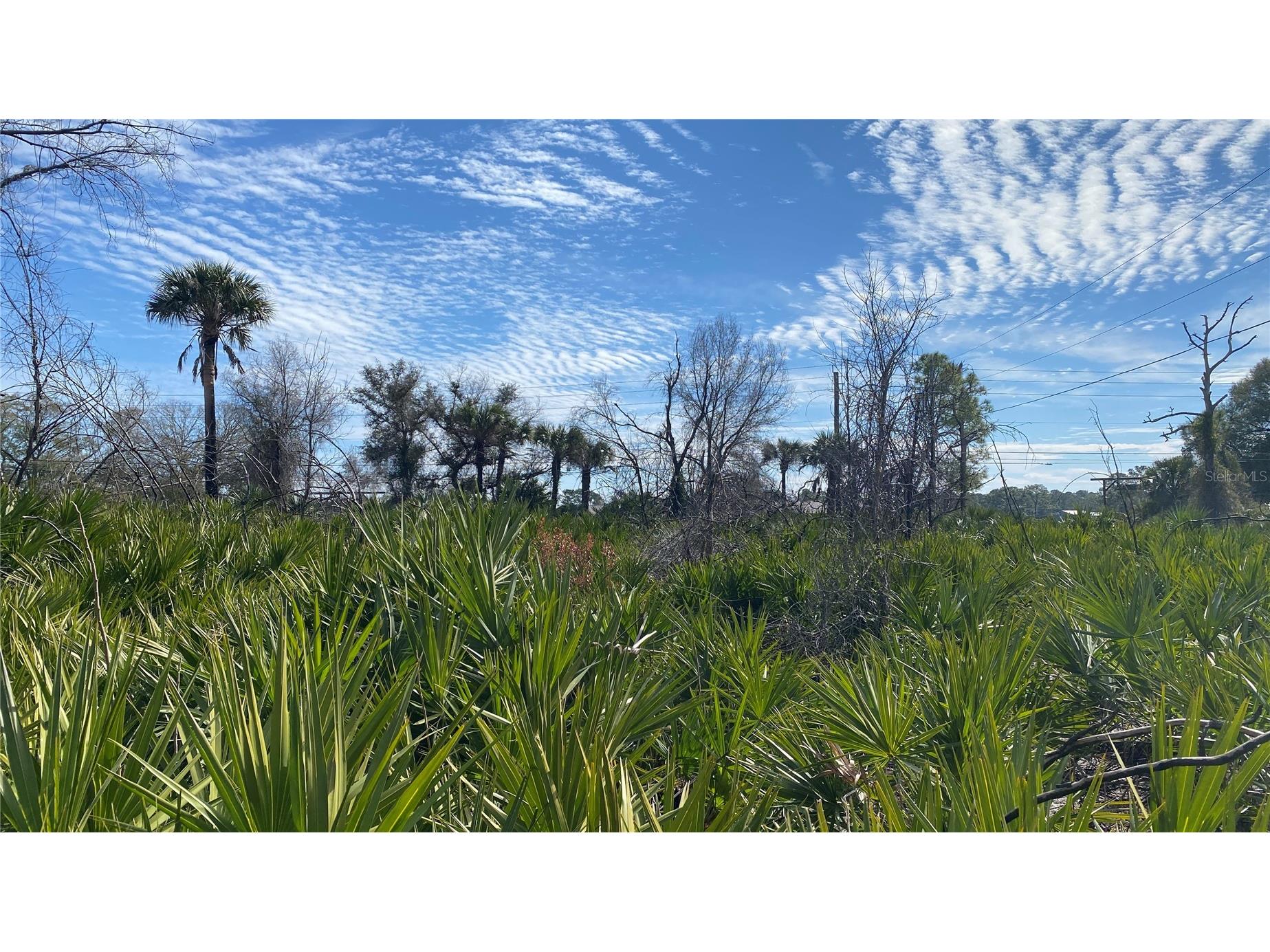 Sr-415 New Smyrna Beach FL 32168 NS1085172 image10