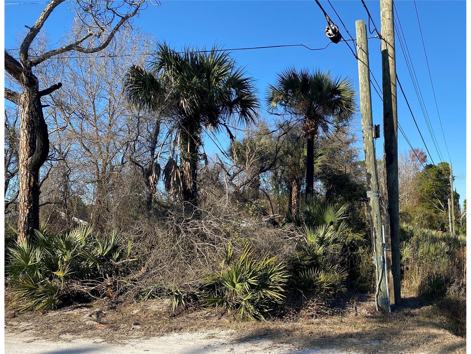 Sr-415 New Smyrna Beach FL 32168 NS1085172 image13
