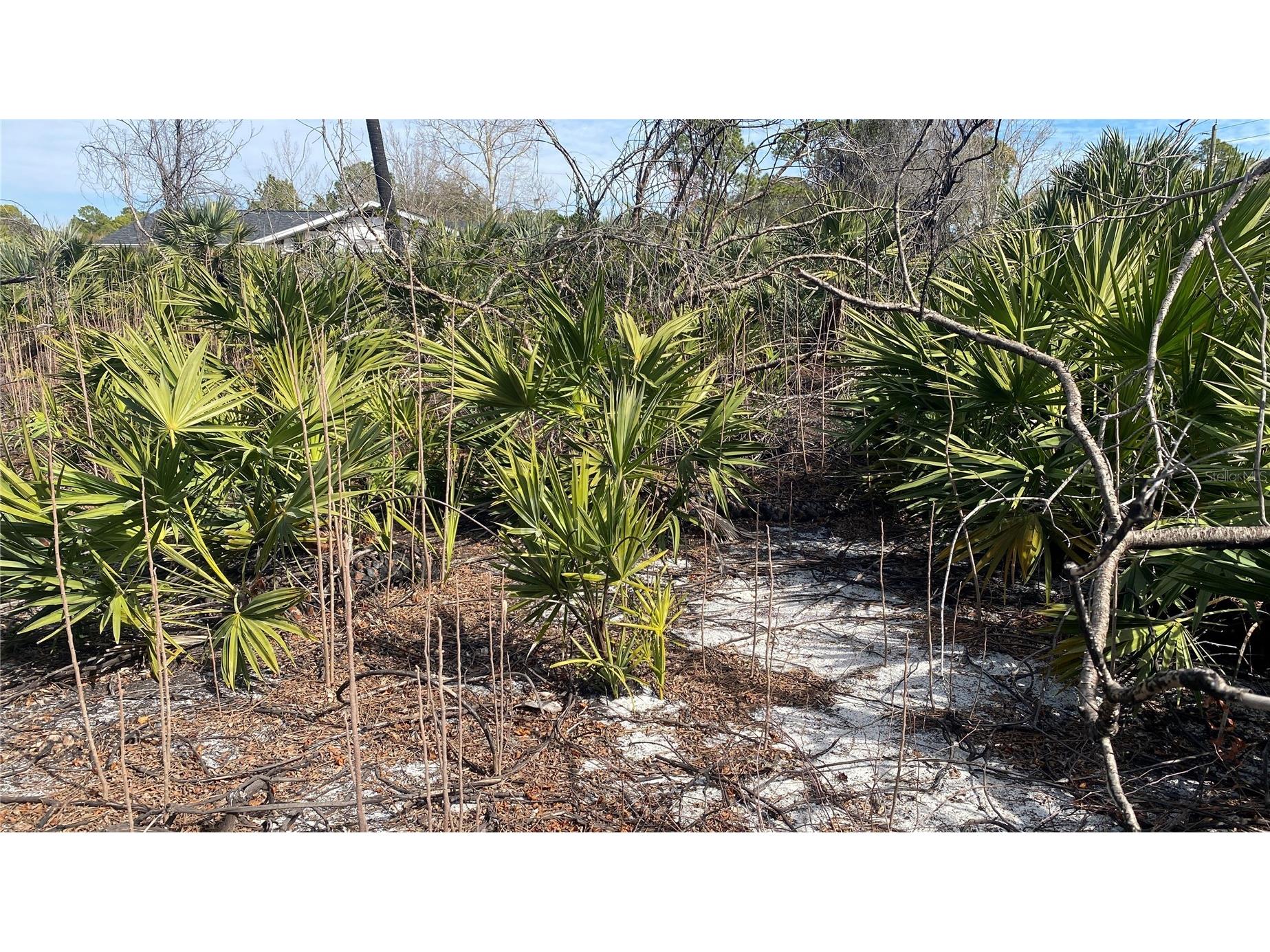Sr-415 New Smyrna Beach FL 32168 NS1085172 image2
