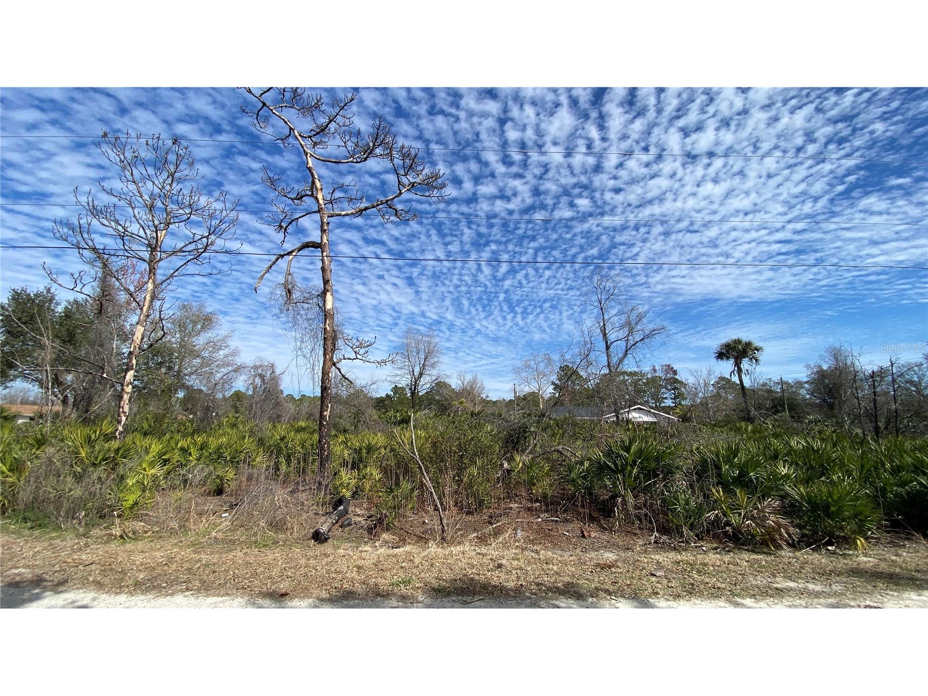Sr-415 New Smyrna Beach FL 32168 NS1085172 image3