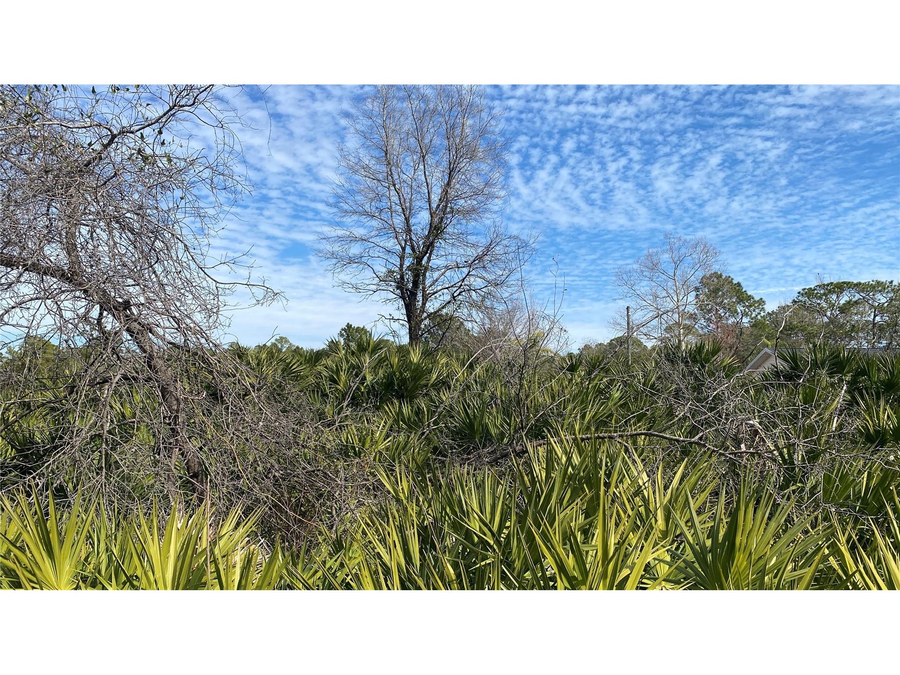 Sr-415 New Smyrna Beach FL 32168 NS1085172 image8
