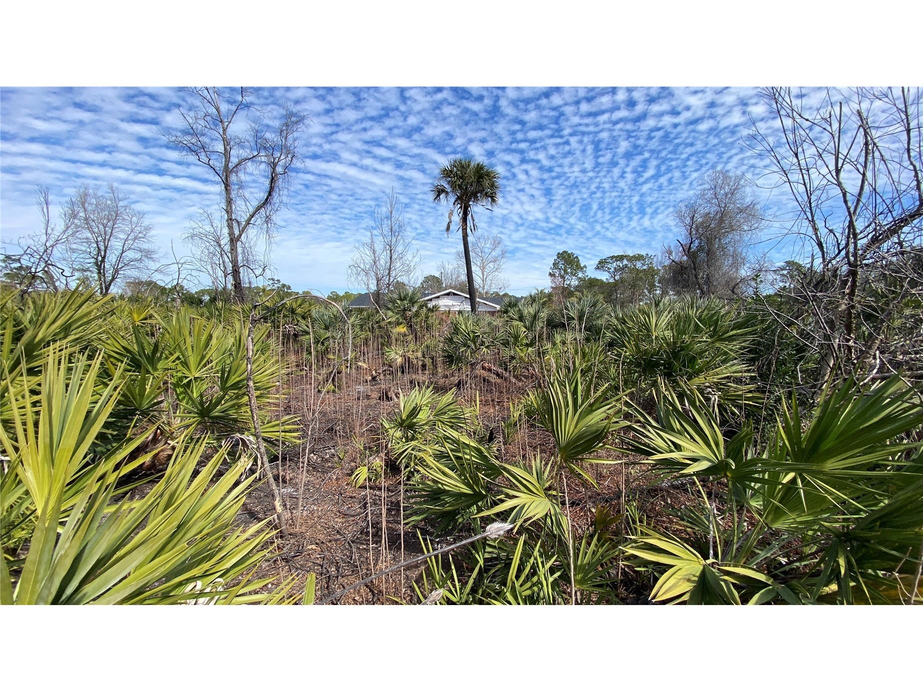 Sr-415 New Smyrna Beach FL 32168 NS1085172 image9
